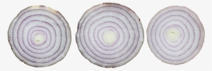 Onion Slices - Portable Network Graphics