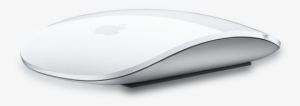 Apple Mouse Png - White