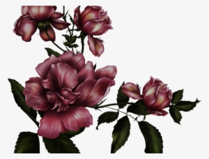 Gothic Rose Transparent Background Png Mart - Gothic Flowers