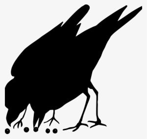 Download Png - Bird