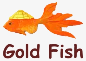 Logo Goldfish - Go Math 1st Grade Chapter 1 Test