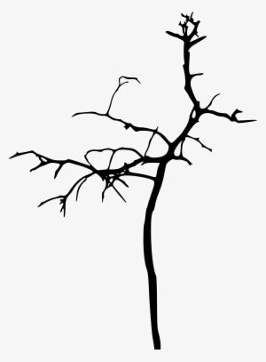Go To Image - Bare Tree Png