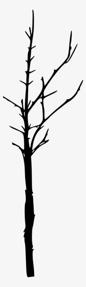 Png File Size - Tree