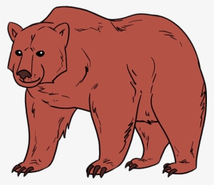 Grizzly Bear Drawing - How To Draw A Grizzly Bear Step By Step