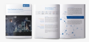 White Paper From Overload To Overlord - Brochure