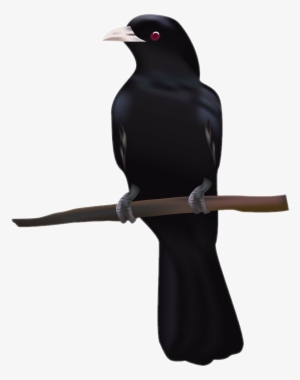 Raven Sticker - Cuckoo Png