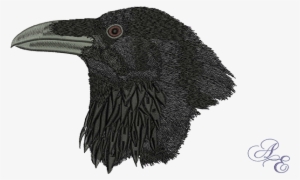 Raven Head Large - Art