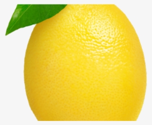 Lemon Clipart Two - .net