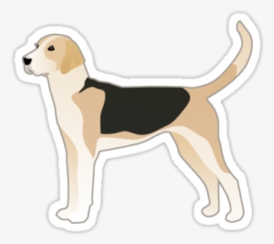 English Foxhound Basic Breed Silhouette By Tripoddogdesign - Englischer Foxhound-hundezucht-illustration Haustiermarke