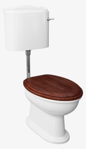 Traditional Low Level Toilet With Mahogany Toilet Seat - Toilet Seat