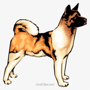 Akita Dog Royalty Free Vector Clip Art Illustration - Symptom Of Dog Bite