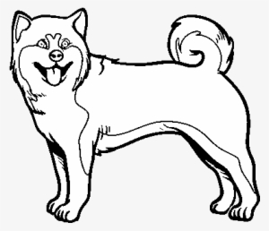 Akita Dog Coloring Page Shiba Inu Coloring Pages Transparent Png 600x470 Free Download On Nicepng - shiba inu invisible background roblox
