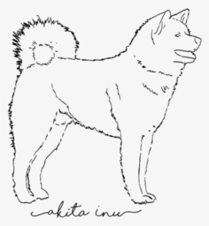 Bleed Area May Not Be Visible - Akita Inu Line Art Png