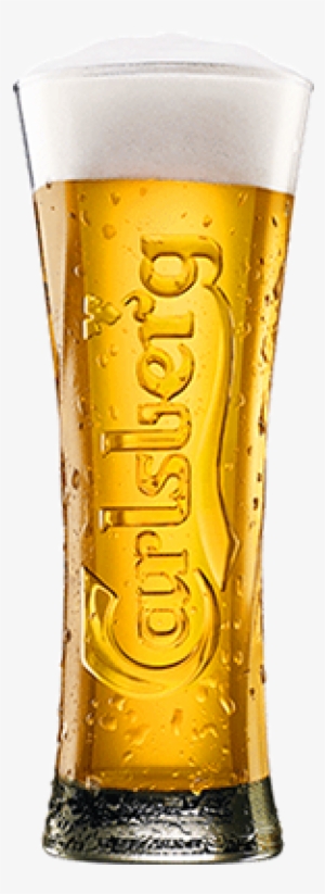 "garçon, Which Pilsner Pairs Best With My Braised Ribs" - Carlsberg Half Pint Glass Toughened (one Glass)