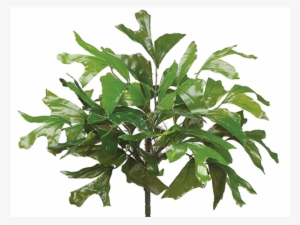 21" eva fishtail palm bush green - absinthe