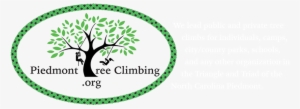 Piedmont Tree Climbing - Climbing