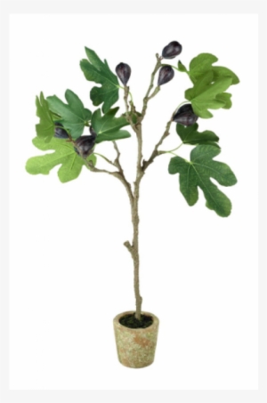 Faux Potted Fig Tree - Fig Tree