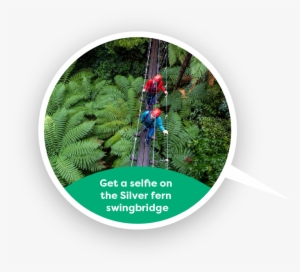 Get A Selfie On The Silver Fern Swingbridge - Circle