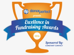 Donorperfect Excellence In Fundraising Awards - Award