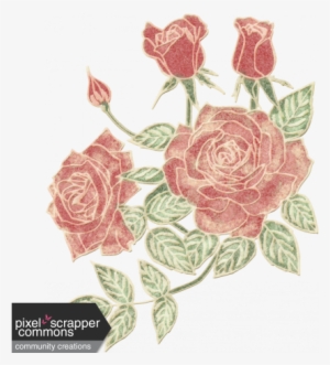 Teatime-minikit - Roses - Garden Roses