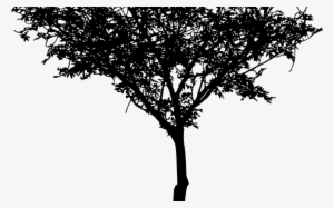 16 Tree Silhouette Vol 3 Onlygfxcom - Portable Network Graphics