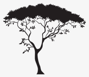 African Tree Silhouette Png