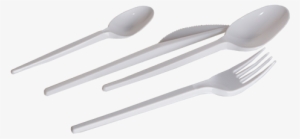 Standard Group - Spoon