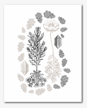 Flowers & Lace