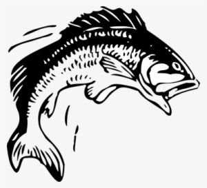 beamter clipart fish