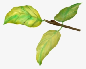 «nld Little Branch » On Yandex - Branch