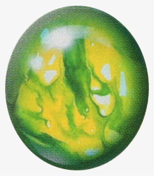 Emerald Gem - Circle