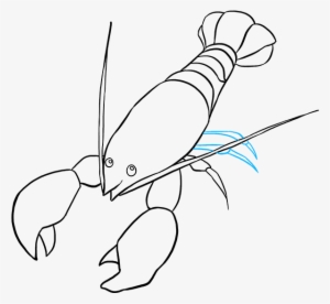 How To Draw Lobster - Drawing