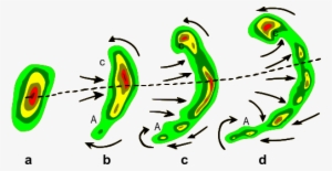 Típica Evolución De Un Eco De Radar De Una Tormenta - Mesoscale Convective Complex Formation