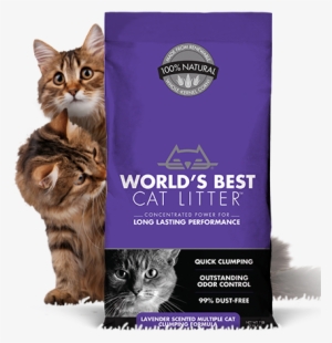 Lavender Scented Multiple Cat Clumping - World's Best Cat Litter - Cat Litter Lavender - 7 Lbs.
