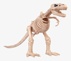 T-rex Skeleton - Halloween T Rex Skeleton