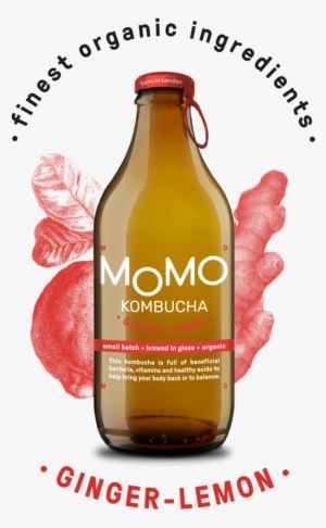 180913 Momo Freiststeller Illu Ginger-lemon - Ginger