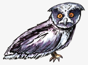 Watercolor Owl Cartoon Transparent - Portable Network Graphics