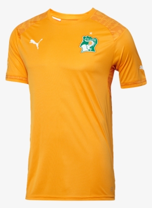 Ivory Coast World Cup 2014 Jersey - Yellow Dri Fit Shirt