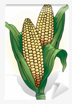 Pannocchia Di Mais Corn Cob Vector Wall Mural • Pixers® - Vector Mazorca De Maiz
