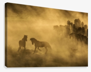 Western Cowboys Riding Horses, Roping Wild Horses Canvas - Animals Chasing Wild Horses