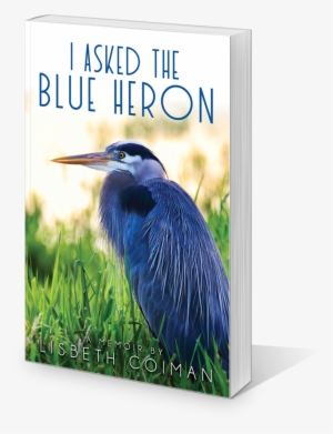 I Asked The Blue Heron - Great Blue Heron