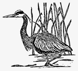 This Free Icons Png Design Of Great Blue Heron