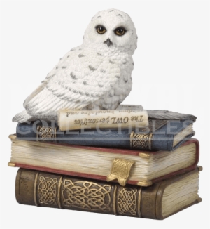Snow Owl On Books Trinket Box - Snow Owl On Books Trinket Box By Veronese