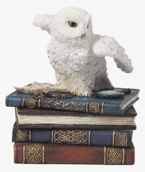 Snow Owl Flapping Wings On Books Trinket Box