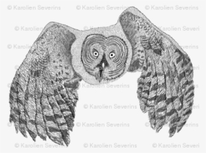 Ooievaar Met Tweeling Patroon Foto Thumb - Flying Great Grey Owl Art Print Travel Mug