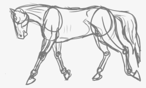 Horse Sketch By Meung12 - Drawing Of Horse Transparent