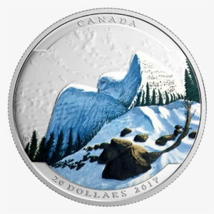 Pure Silver Coloured Coin Landscape Illusion - 2017 Fine Silver 20 Dollar Coin - Landscape Illusion: