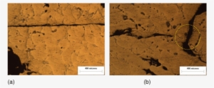 Om Images Of The Cast Product Produced With The Preheat - Igneous Rock