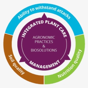 Plant Care - Navojoa