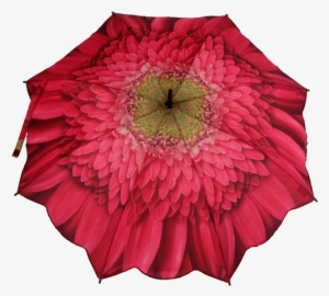 Flower Umbrellas - Gerbera Daisy Pink Folding Umbrella